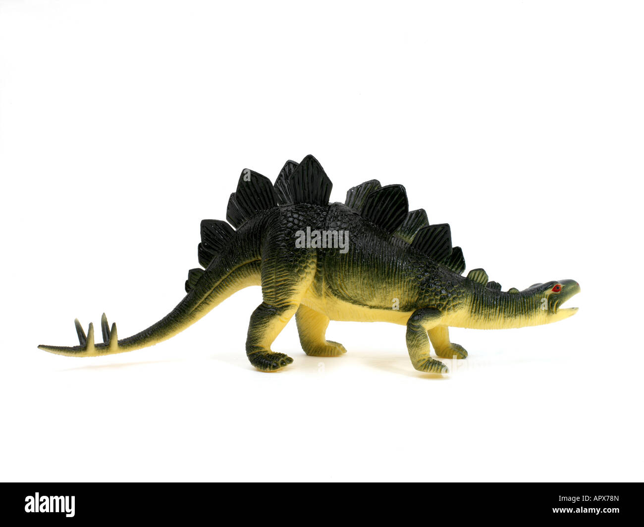 Stegosaurus hires stock photography and images Alamy