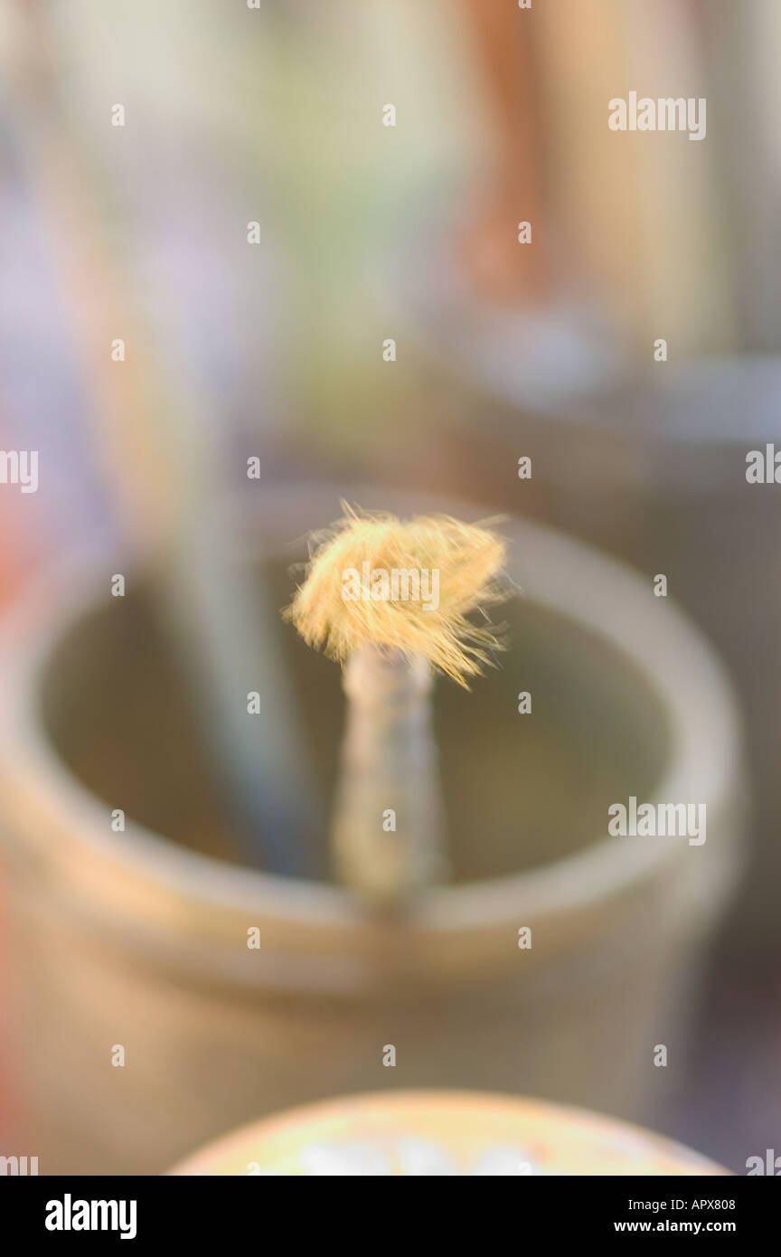still life of paint pot & brushes Stock Photo Alamy