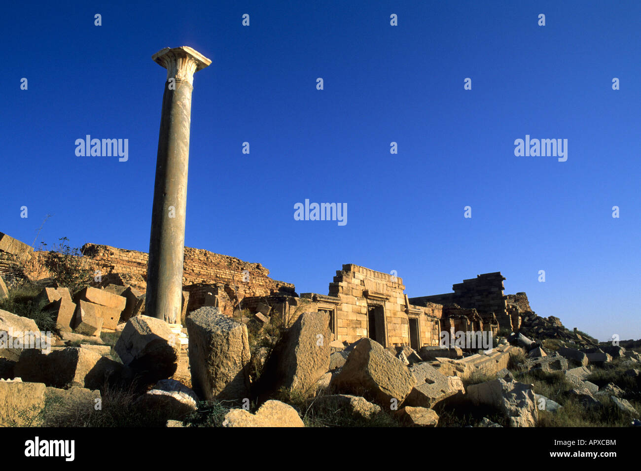 Archaeological ruins at Leptis Magna Stock Photo