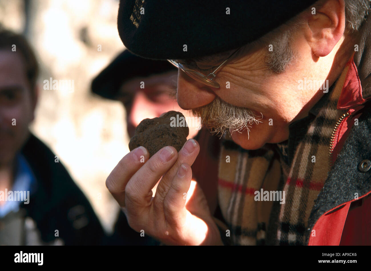 Man smelling at truffle, truffles market, Richerenches, Tricastin, Provence, France Stock Photo