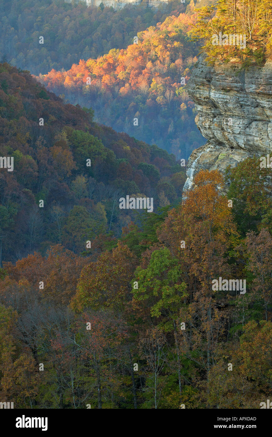 Scenic View of and Bluffs on the Cumberland Plateau in Fall Pogue