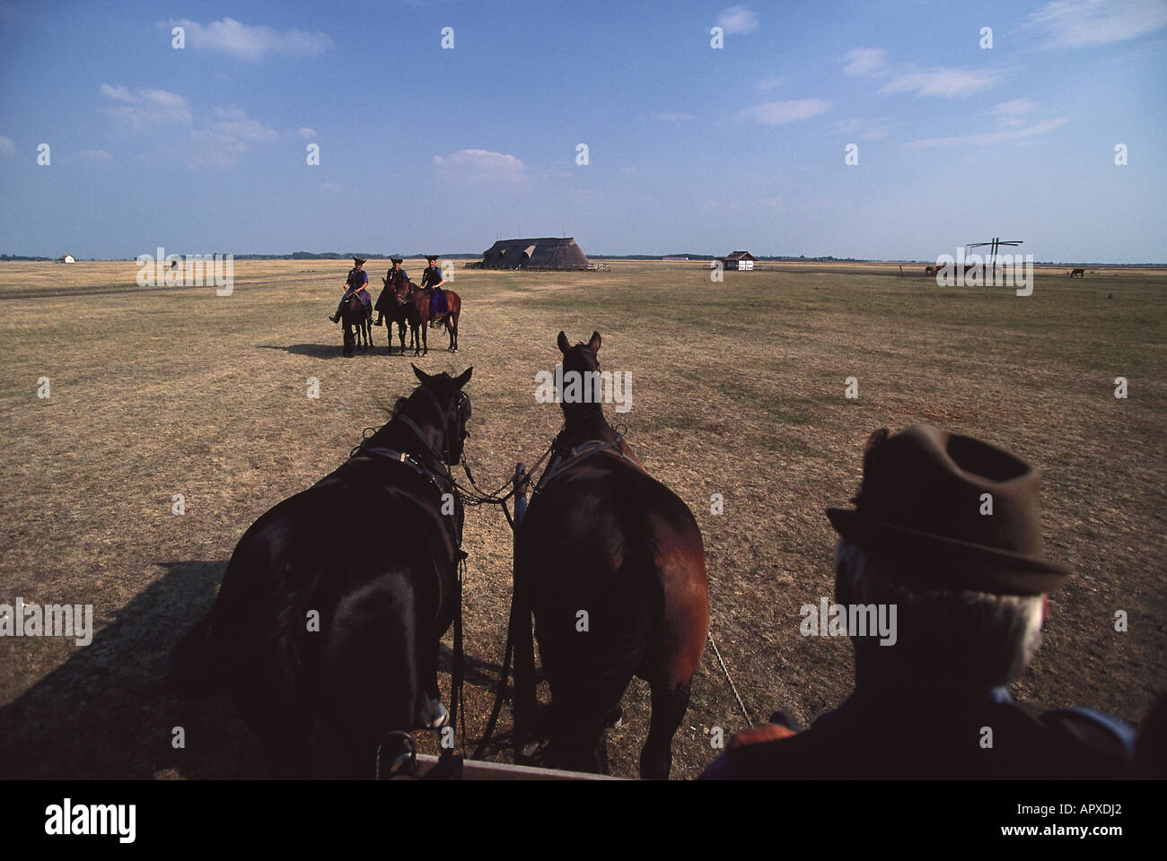Horse carriages driving through steppe, Hortobagyi Puszta, Hungary Stock Photo
