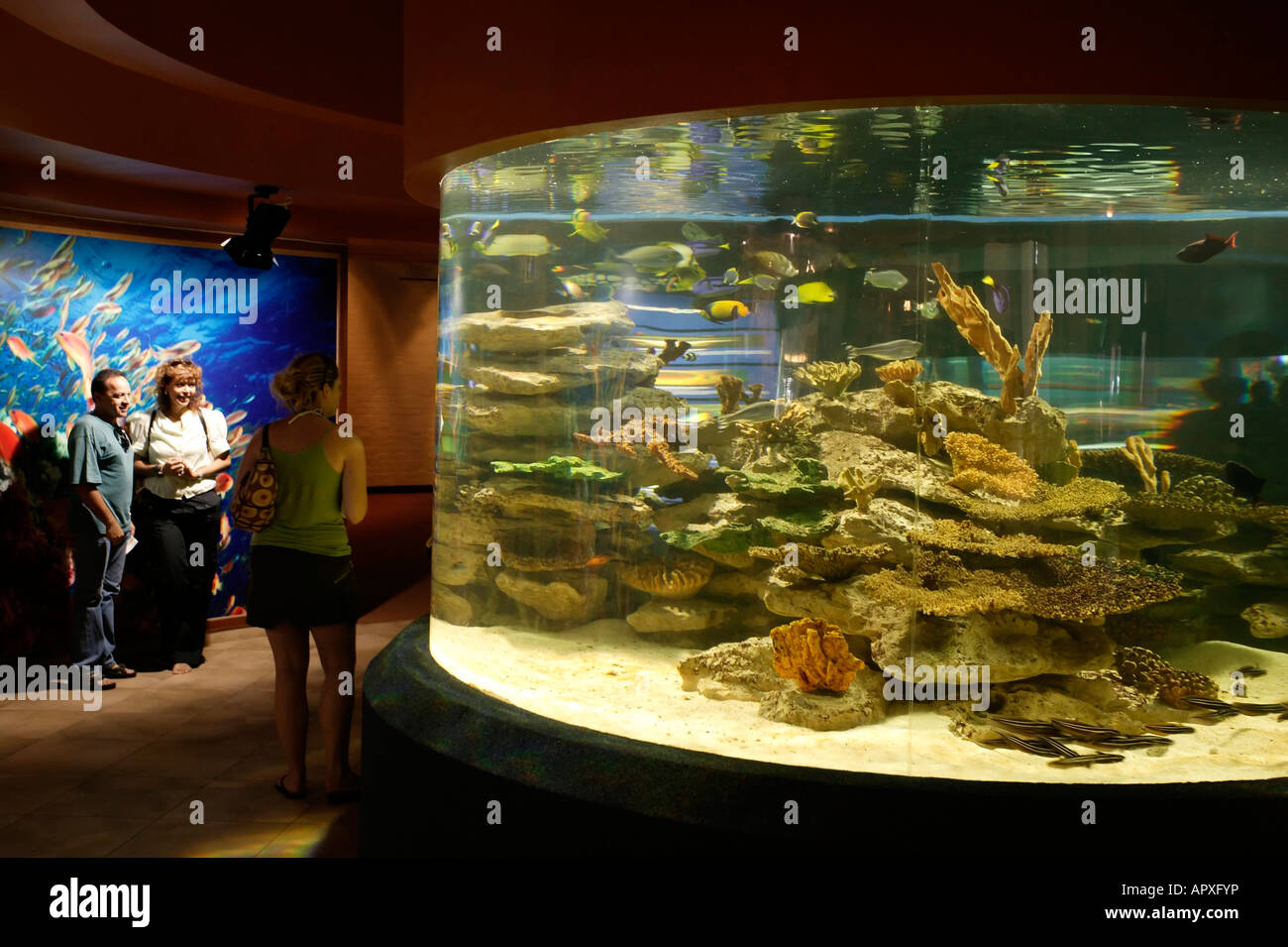 The Two Oceans Aquarium in Cape Town Stock Photo Alamy