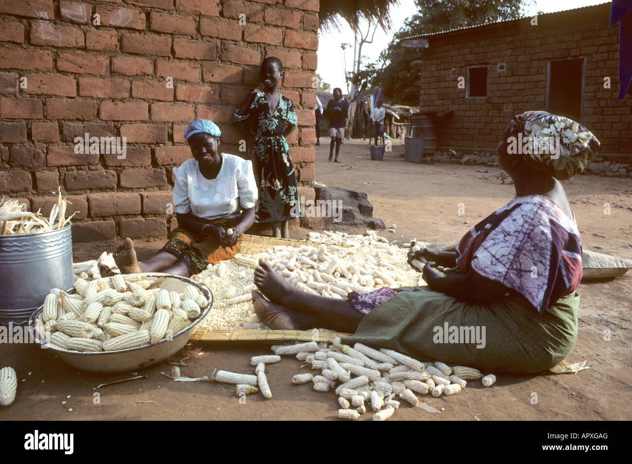 Women in a village seated on the ground removing corn kernels from the cob. Stock Photo