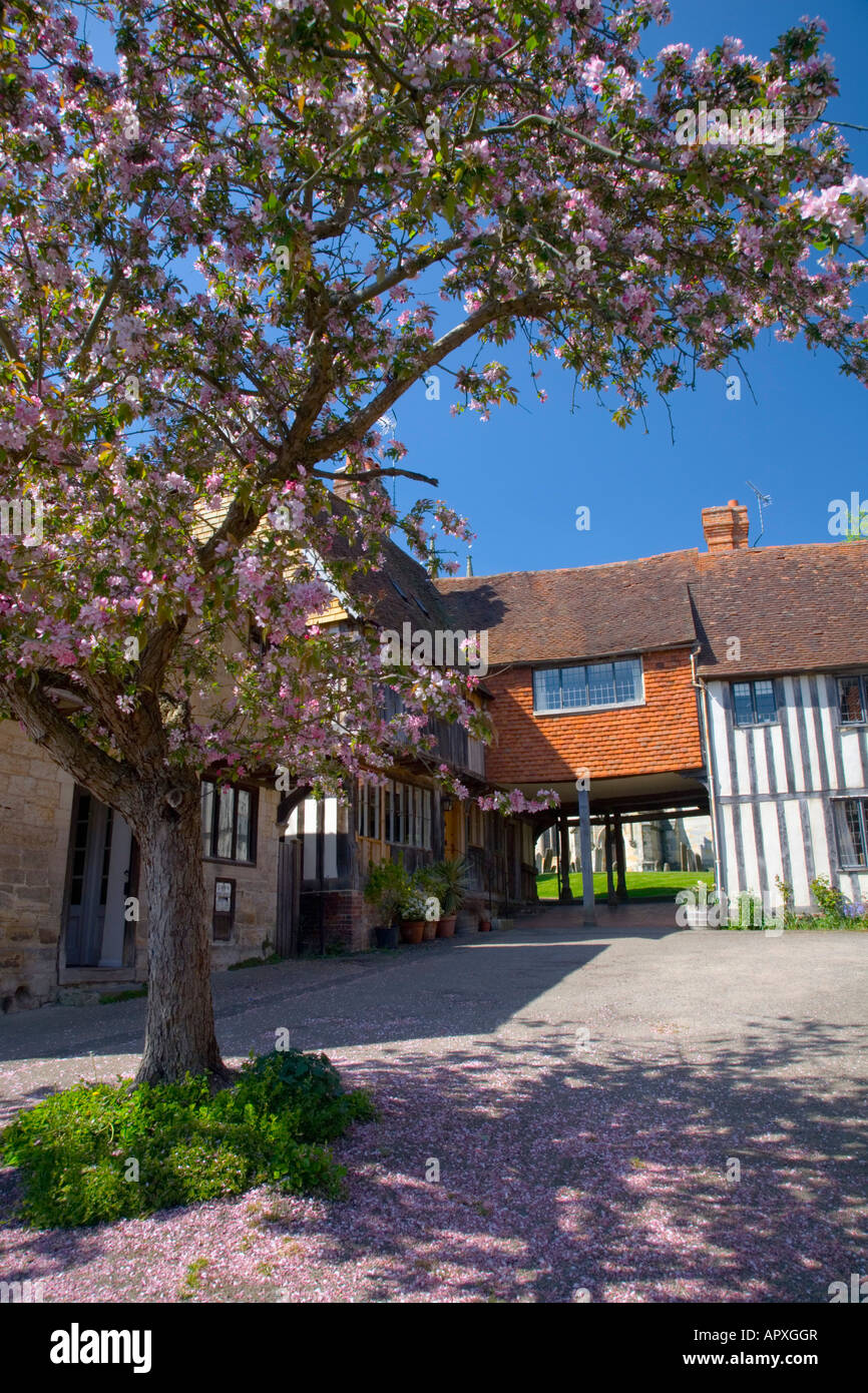 Penshurst, Kent, England. Picturesque medieval houses overlooking