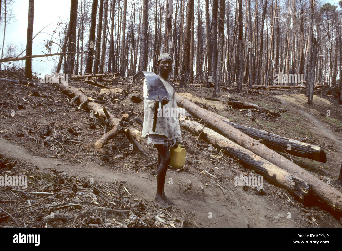 Deforestation on the mountains near Mulanje Stock Photo