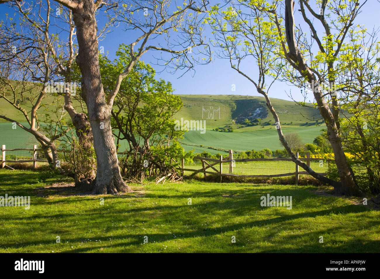 Wilmington, East Sussex, England. View across rolling fields to the