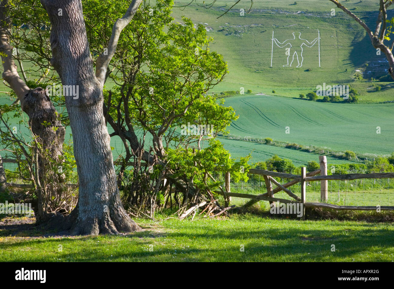 Wilmington, East Sussex, England. View across rolling fields to the