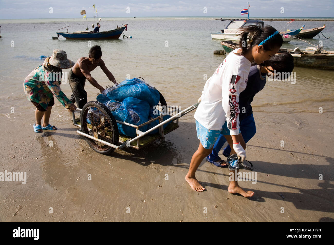 Shell cart hi-res stock photography and images - Alamy