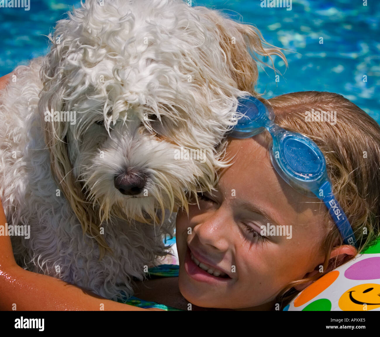 Dog with pool float hi-res stock photography and images - Alamy