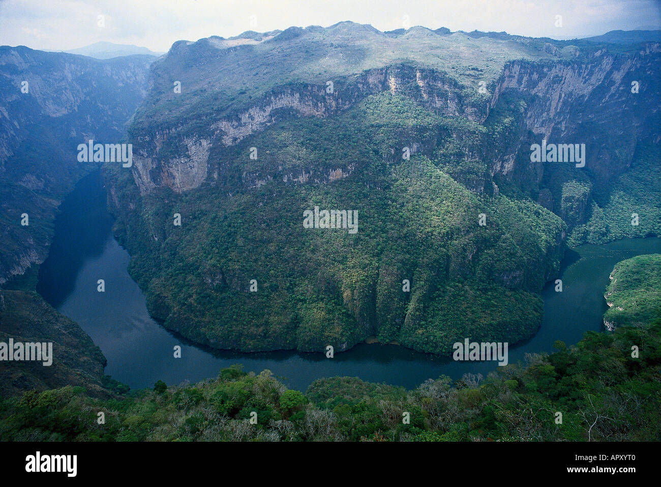 Rio San Juan, Landscape Mexico Stock Photo Alamy