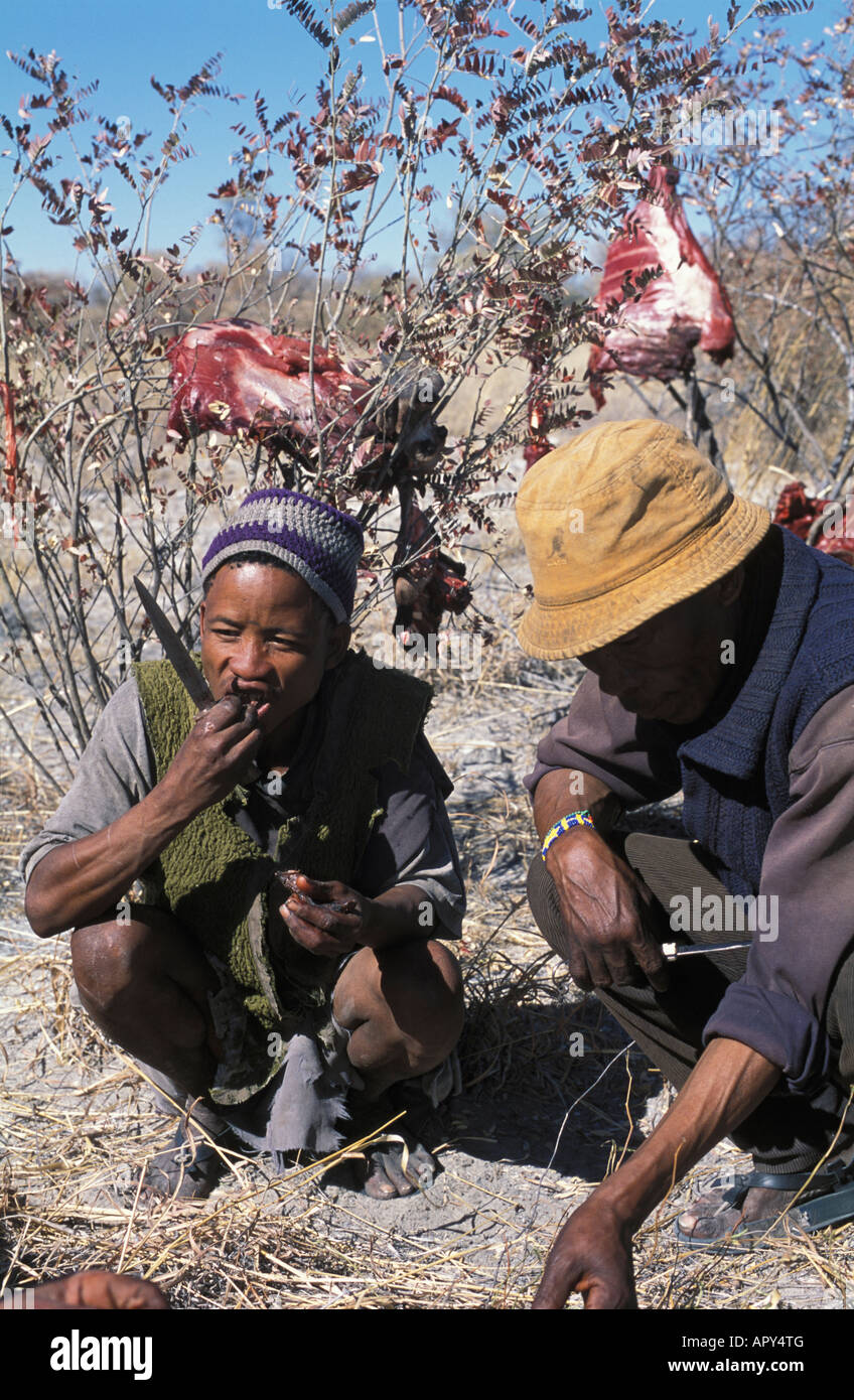 Bushmen eating hires stock photography and images Alamy