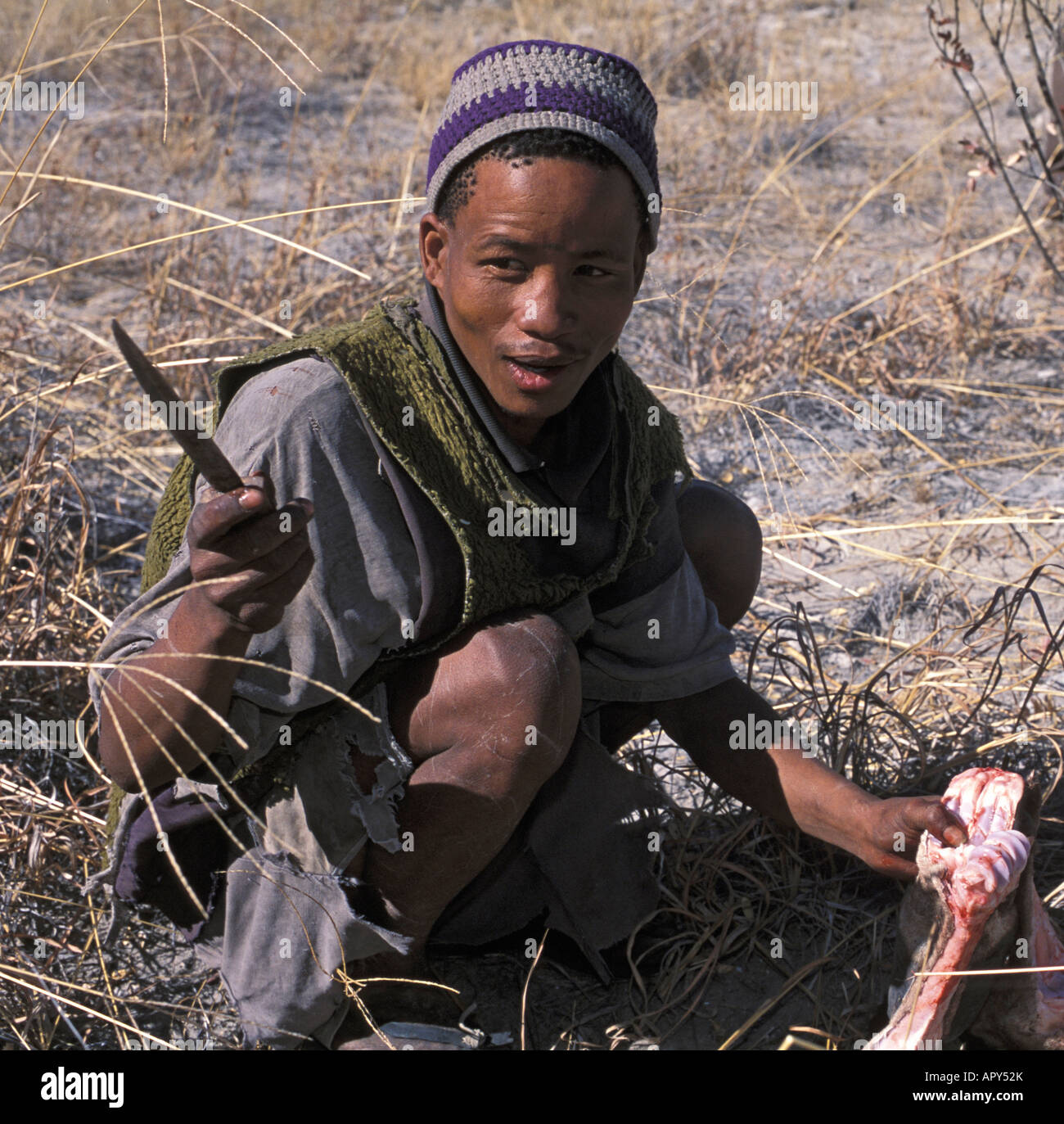Bushmen eating hires stock photography and images Alamy