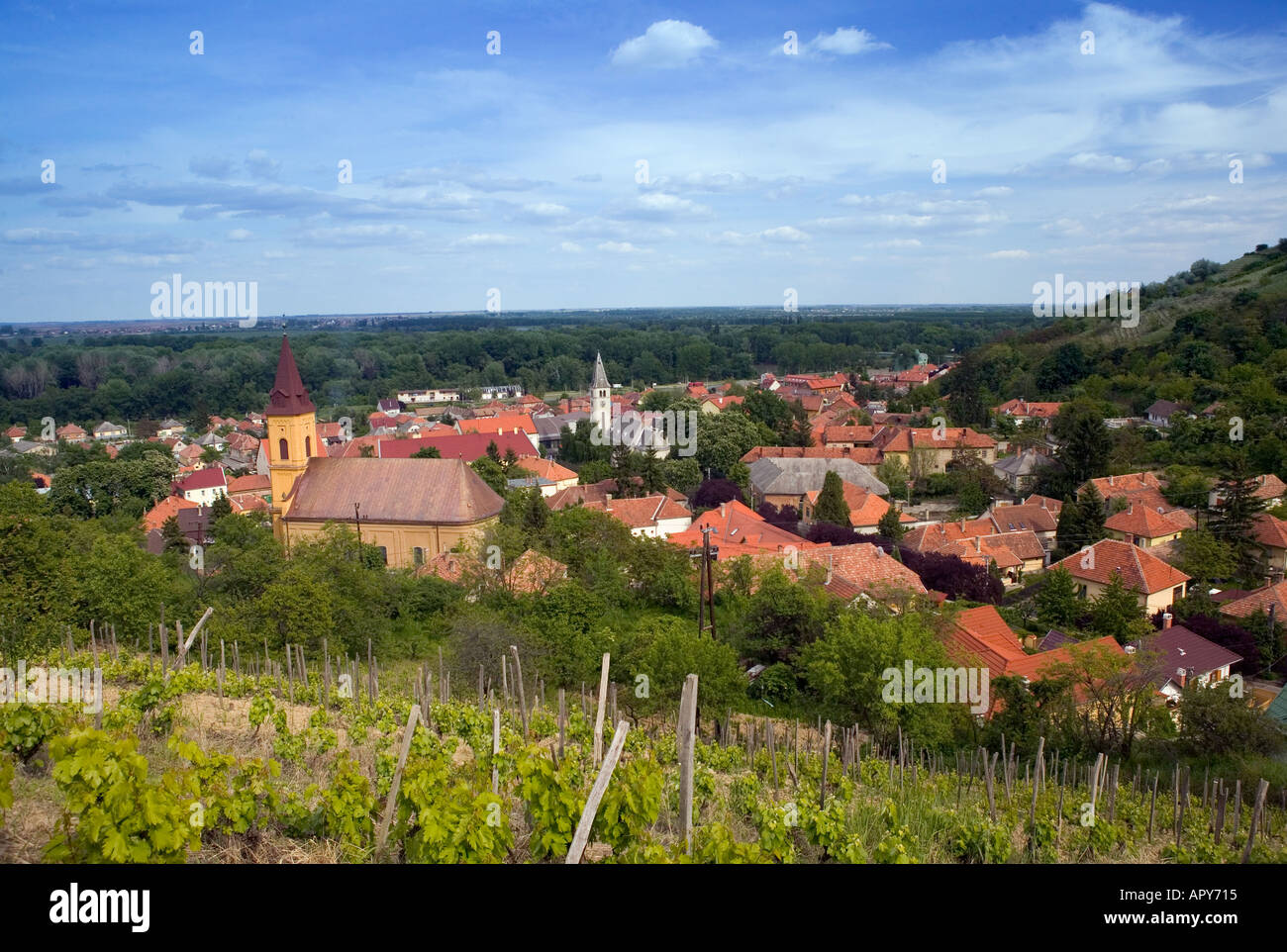 Tokaj, Zemplen Hills, Northern Uplands, Hungary Stock Photo