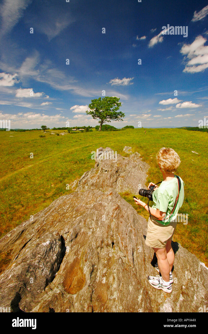 Rock Fins Near Bluffs Picnic Area, Doughton Park, Blue Ridge Parkway