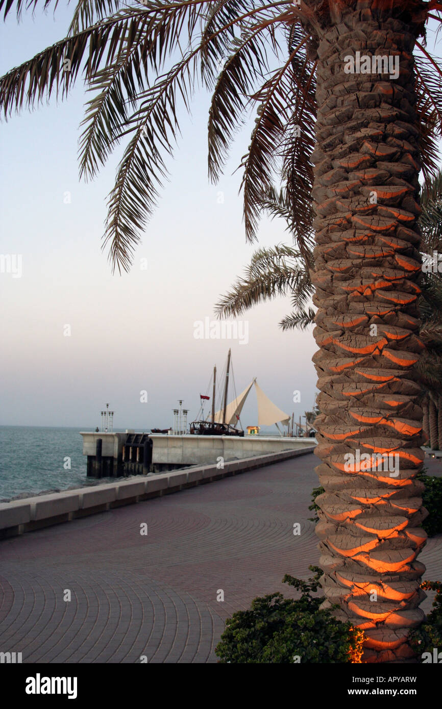 kuwait palm tree Stock Photo Alamy