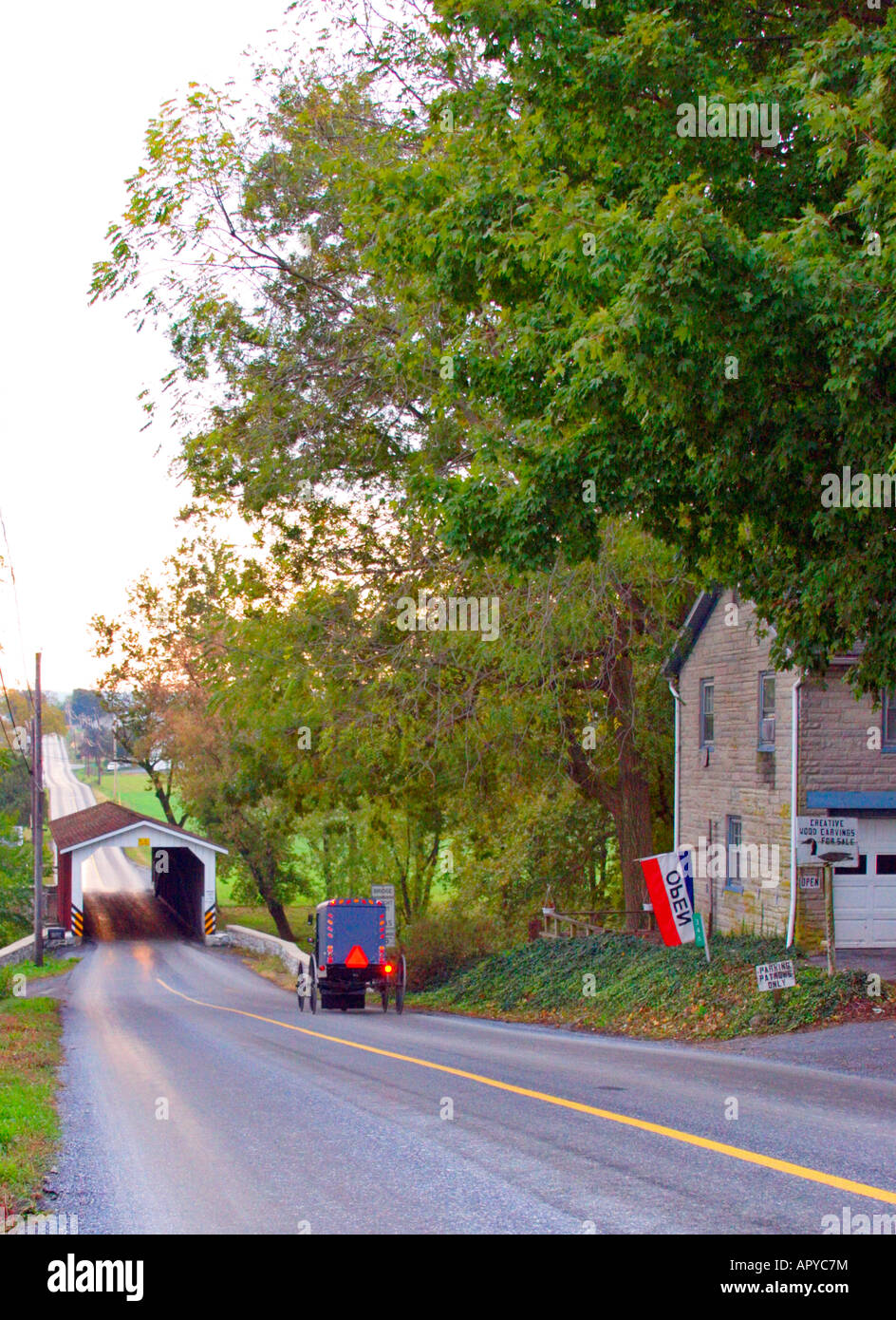Amish Buggy on Road at Dawn, Paradise, Lancaster County, Pennsylvania, USA Stock Photo