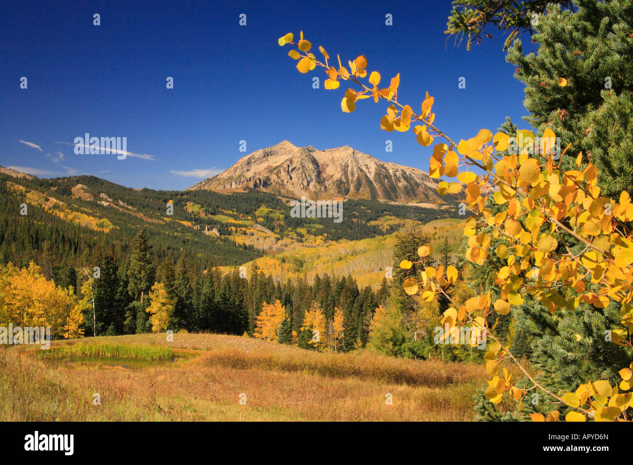 East Beckwith Mountain, Kebler Pass, Crested Butte, Colorado, USA Stock