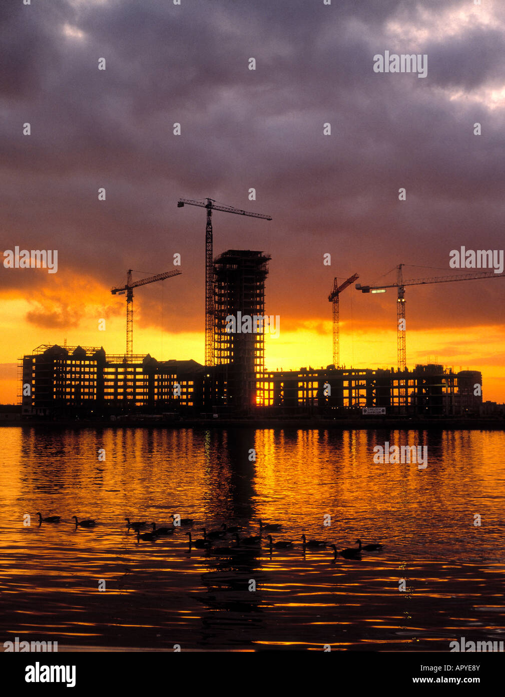 Chelsea Harbour Apartments under construction Stock Photo Alamy