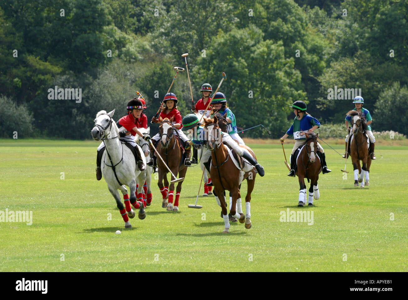 Pony Club Members In Action At A Pony Club Polo Tournament Stock Photo pony-club-members-in-action-at-a-pony-club-polo-tournament-stock-photo