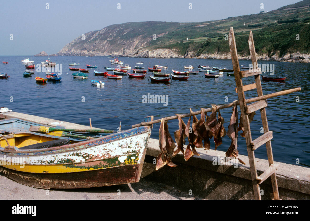Fish drying in the sun in the little fishing port of Caion La Coruna ...