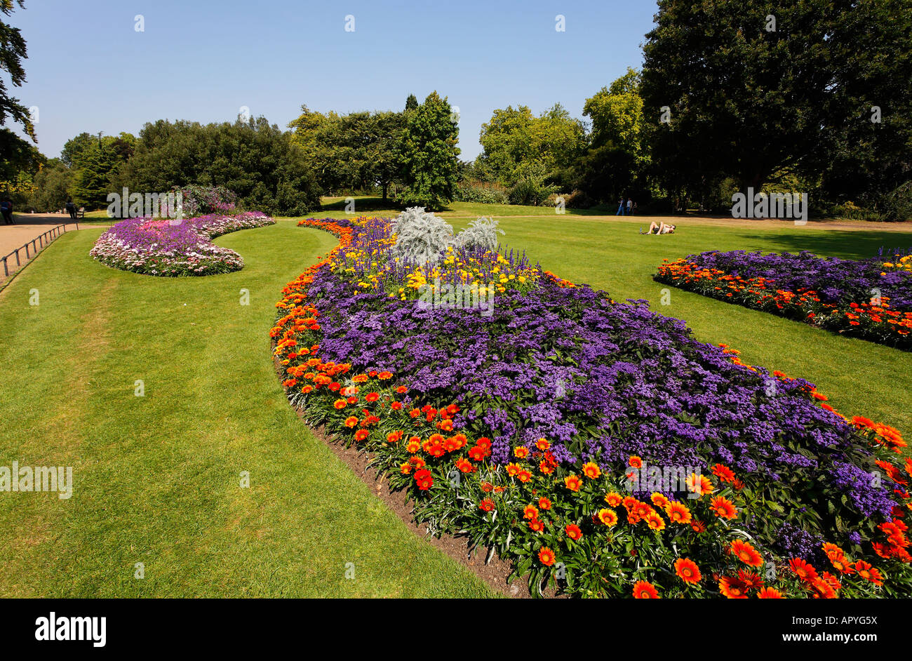 Colourful flowerbeds in Hyde Park London UK Stock Photo - Alamy