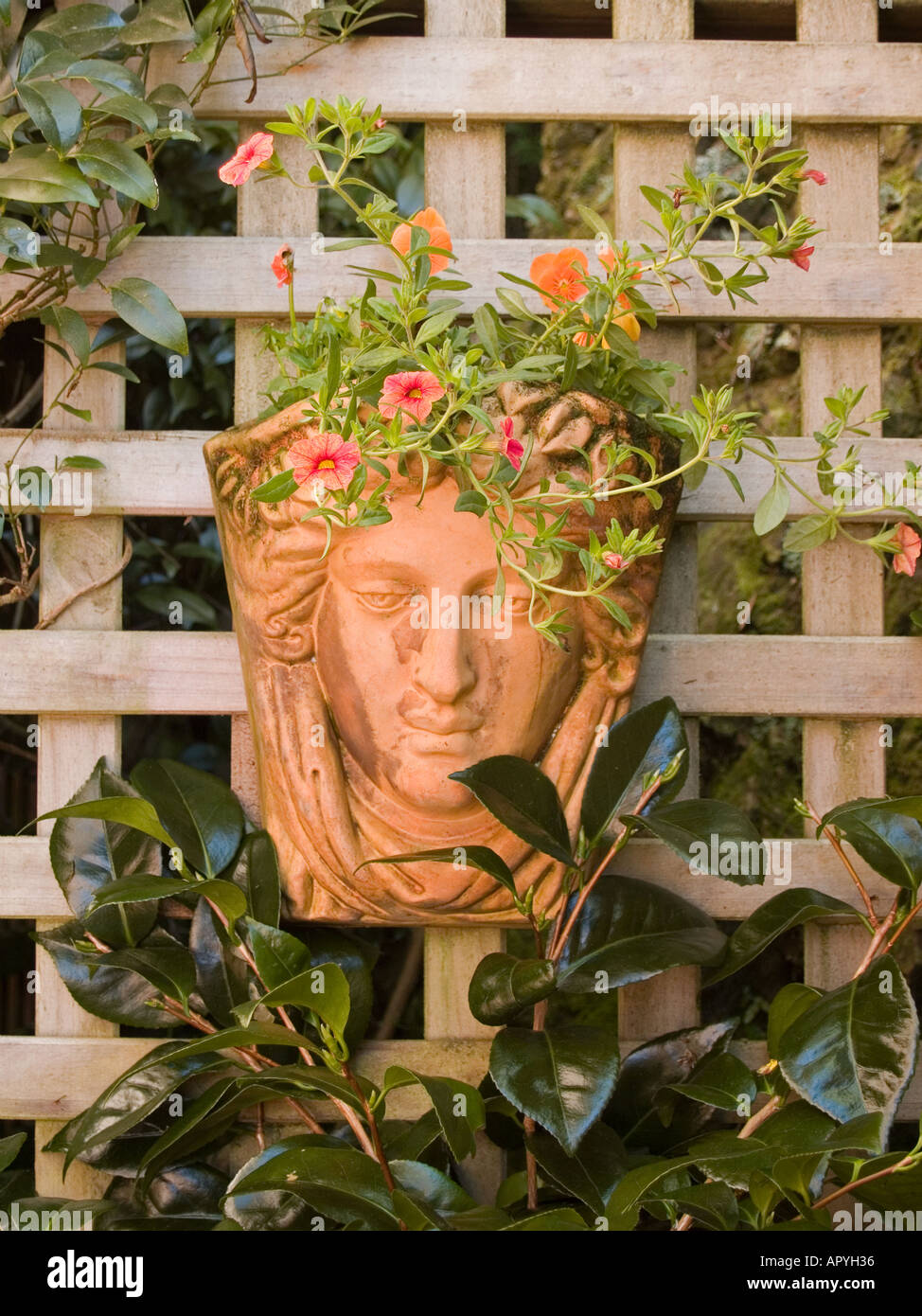 Terracotta wall planter of woman's face with orange violas and