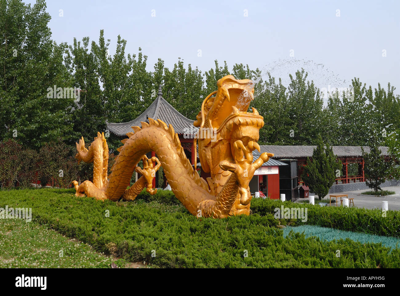 Gold coloured dragon water fountain at The Yellow Emperor s birth place Palace Huangdi Xinzheng City Henan Province China Asia Stock Photo