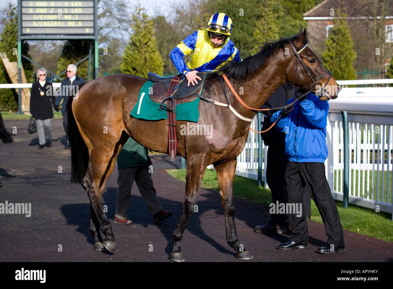 Horse racing at lingfield hires stock photography and images Alamy