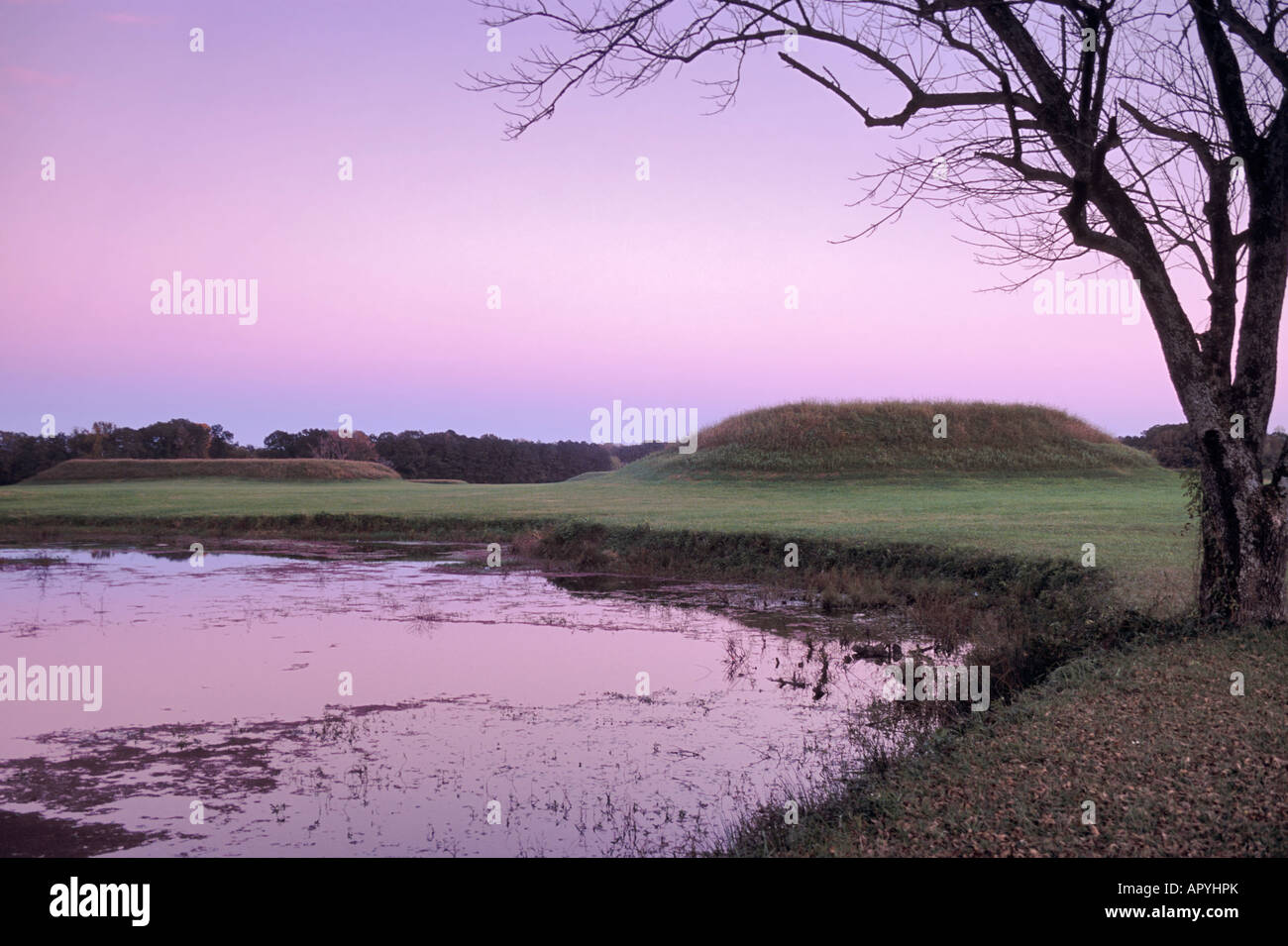 Indian mounds at Moundville Archaeological Park dusk Alabama USA Stock Photo