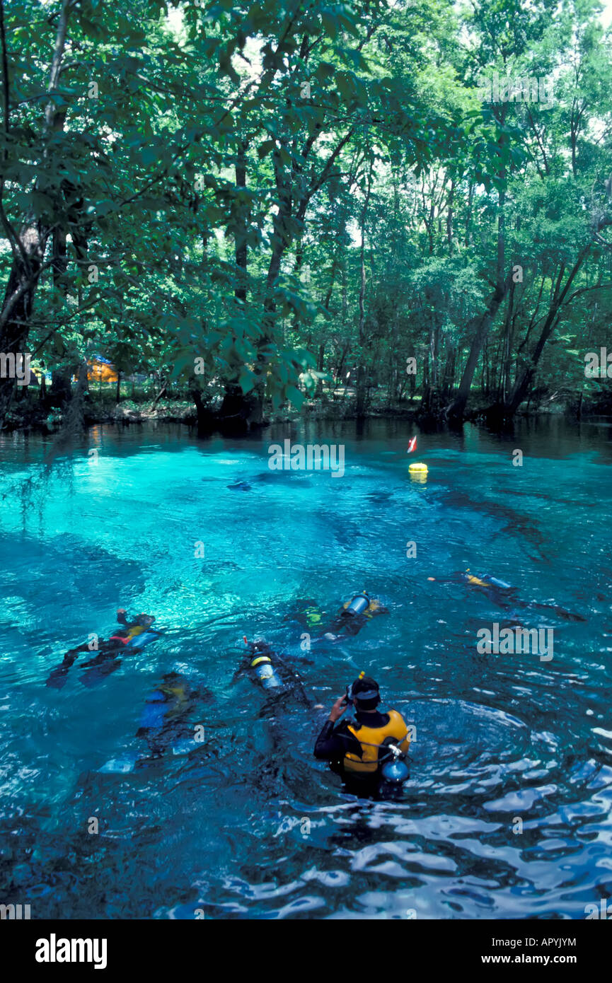 Ginnie Springs Florida fresh water spring run sport scuba diving High