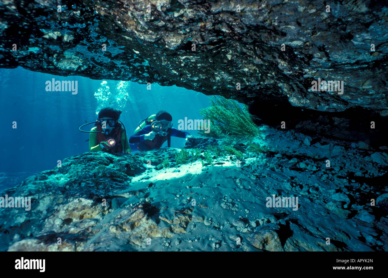 Ginnie Springs Cave Diving Map