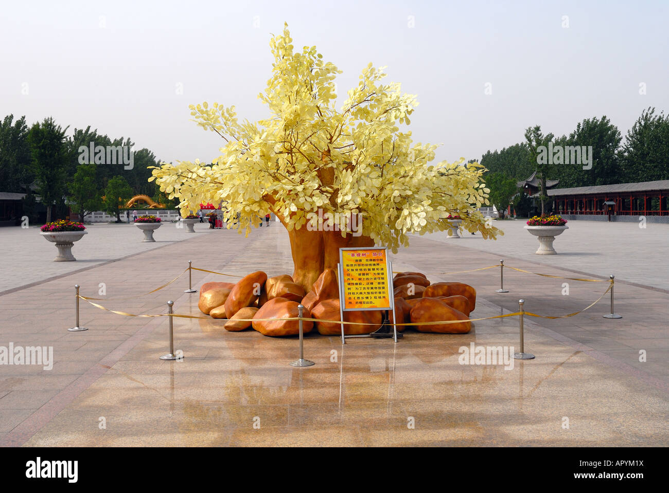 Artificial tree with gold coloured leaves at Ancestry Worshipping Square, The Yellow Emperor s birth place Palace Huangdi Xinzhe Stock Photo