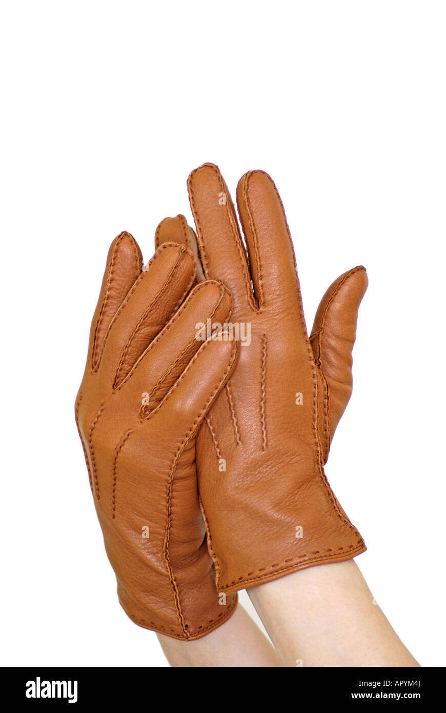 Pair of hands in Brown Leather Gloves Stock Photo Alamy