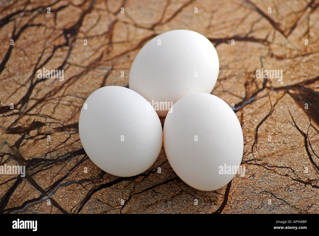 White Eggs on marble surface Stock Photo