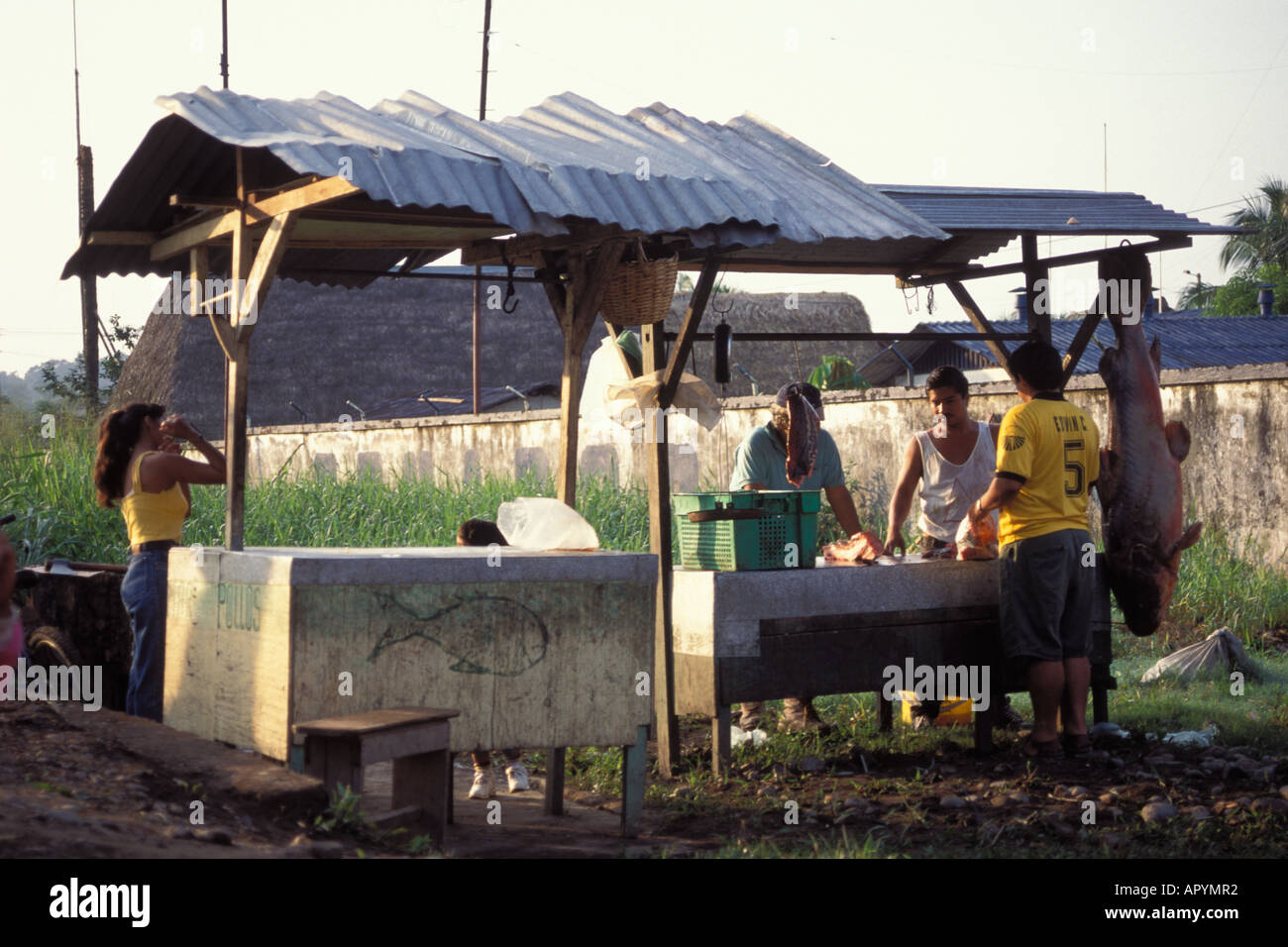 local fish sellers in the Amazon rainforest Ecuador South America Stock Photo