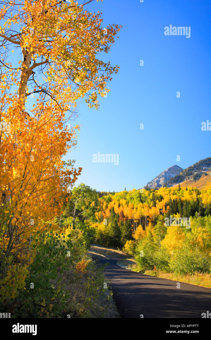 Alpine Loop, Provo, Utah, USA Stock Photo Alamy
