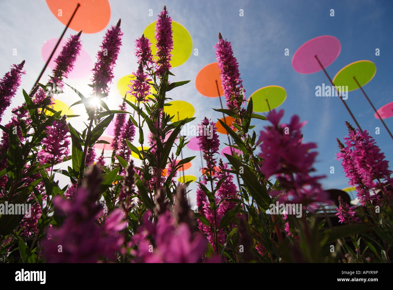 CANADA Quebec Montreal Flora outdoor garden park Stock Photo