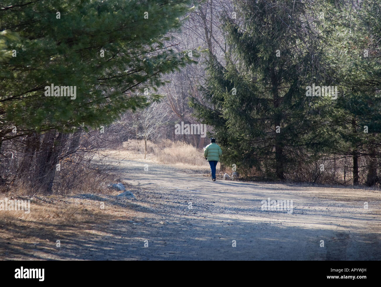 Country road walk hi-res stock photography and images - Alamy