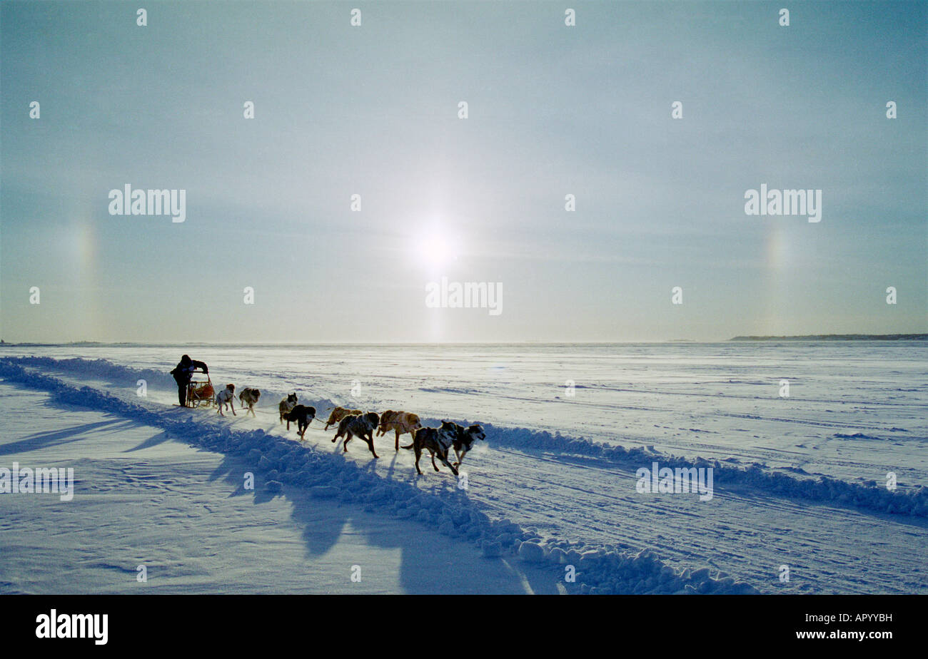 Dog Team with Sun Dogs on Great Slave Lake. Canadian Championship Dog Derby. Stock Photo