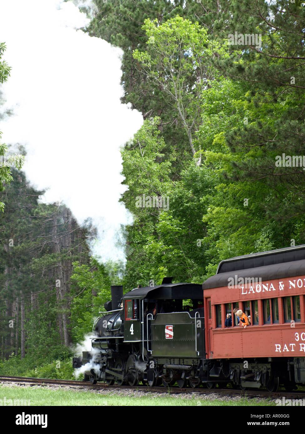 A Steam Engine 4 in Laona Wisconsin carrying passengers through the wooded pine tree landscape Stock Photo