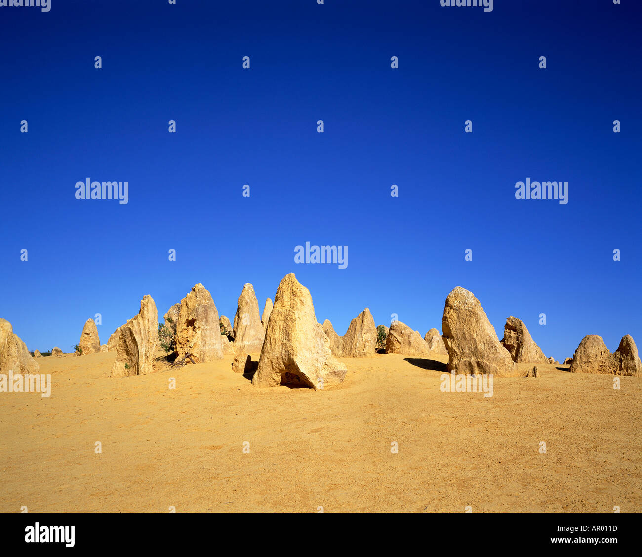 limestone rocks rise from the ground in the Pinnicles Desert Nanbung