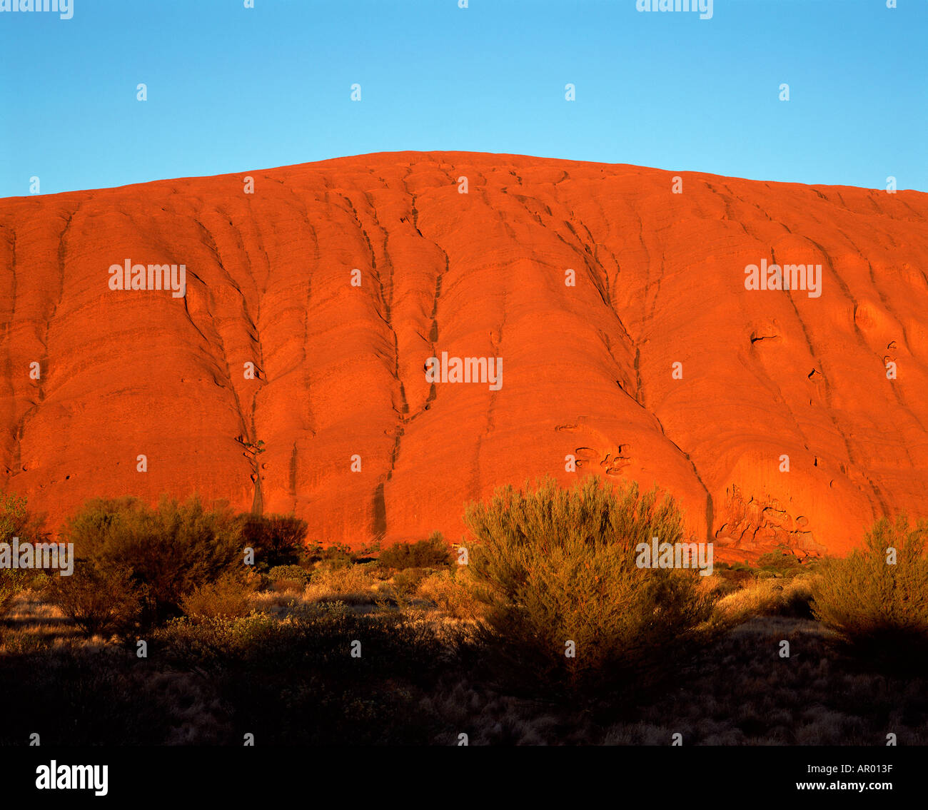Uluru Ayres Rock at dawn Northern Territory Australia Stock Photo