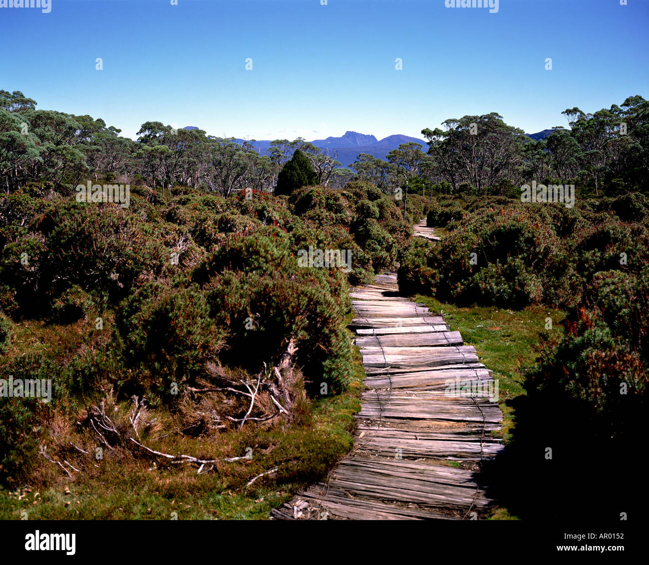 The world famous Overland Track Cradle Mountain Lake St Clair National