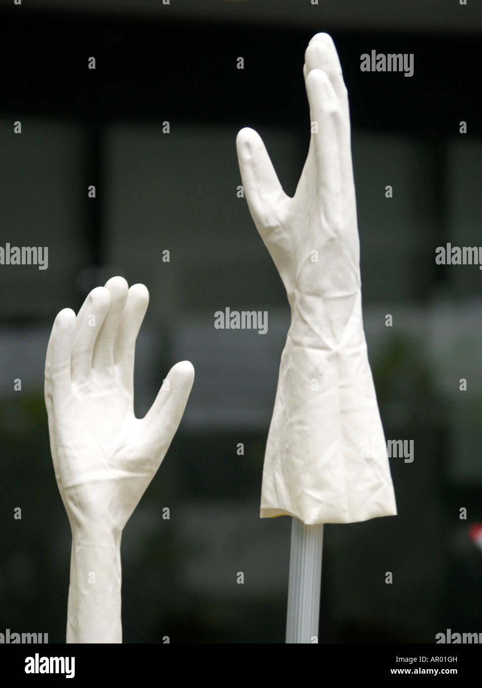 plastic janitor's gloves left on a mop handle Stock Photo
