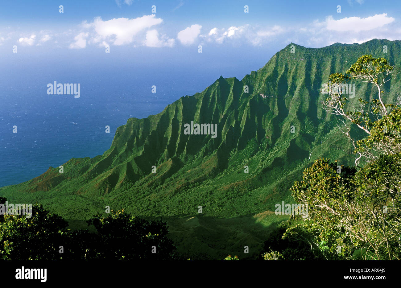 The splendid lush green cliffs of Kalalau Valley Kauaii Hawaii USA Stock Photo