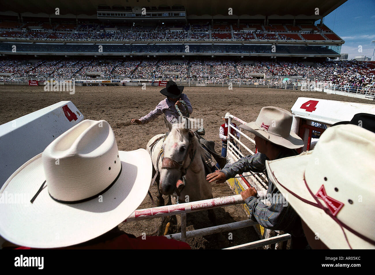 Stampede, Rodeo, Calgary Alberta, Canada Stock Photo
