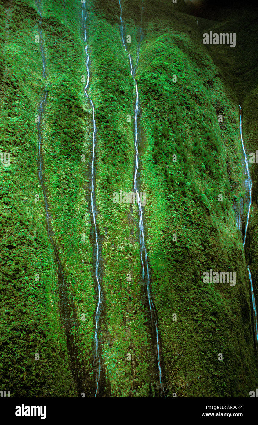 Inside the lush Waialeale Crater the wettest spot on Earth Kauaii USA Stock Photo