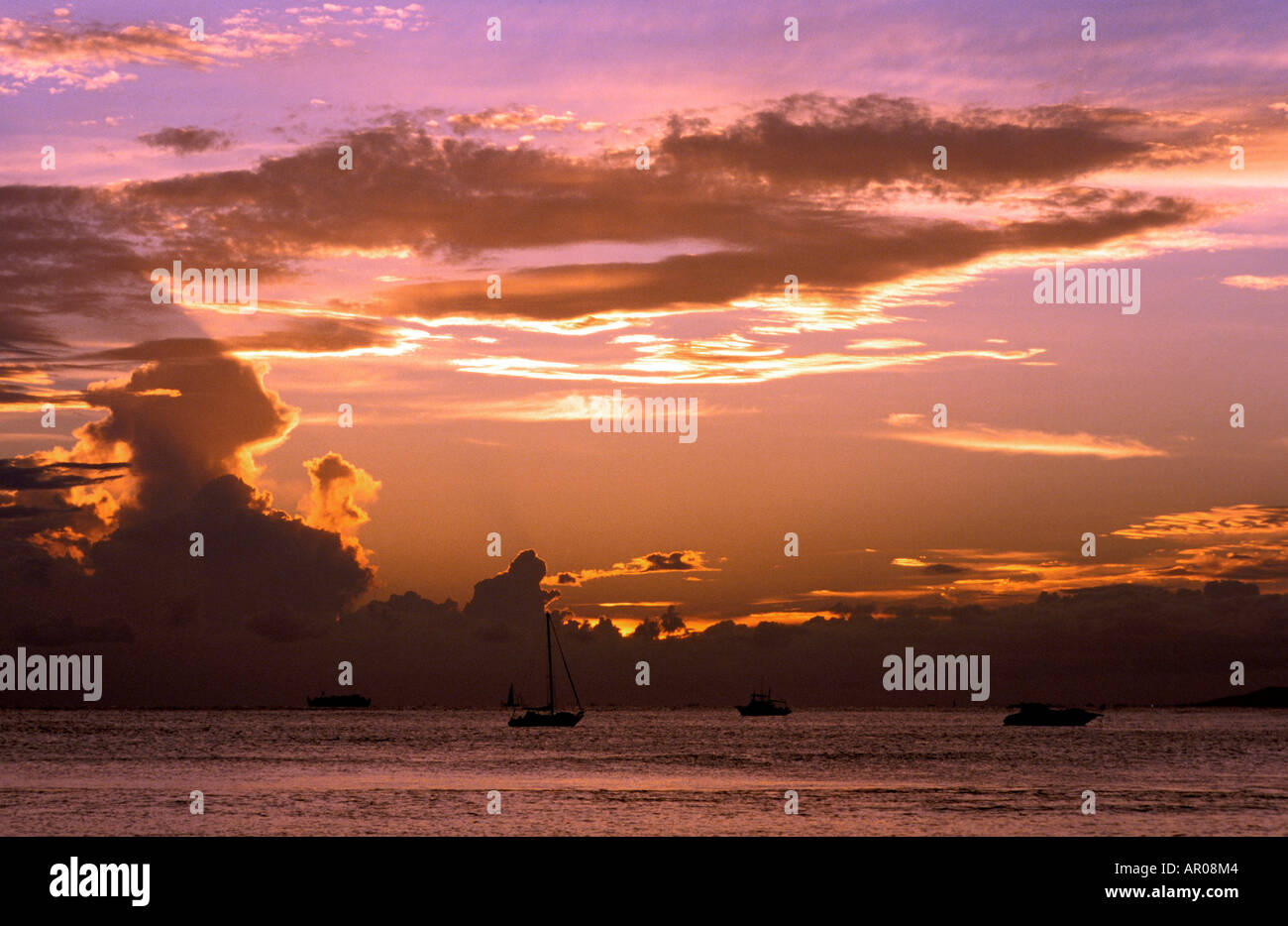 Usa hawaii oahu kapiolani park hi-res stock photography and images - Alamy