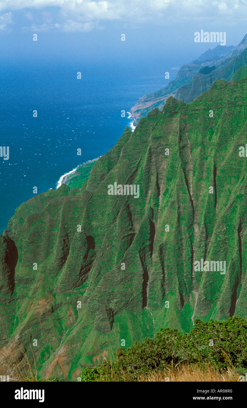 The green cliffs of Honopu Valley Kauaii Hawaii USA Stock Photo